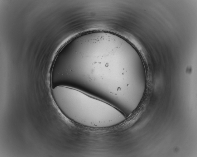 X0000098110807200804041342