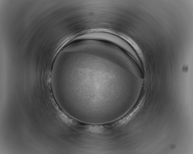 X0000098110809200804041342