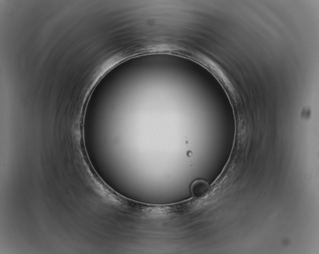 X0000098110810200804041342