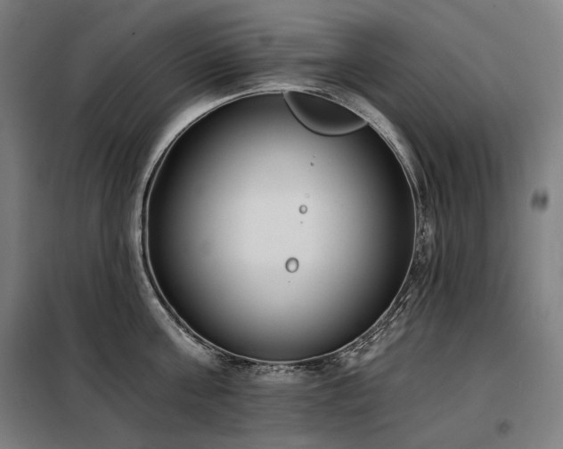 X0000098110811200804041342
