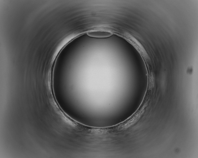 X0000098110812200804041342