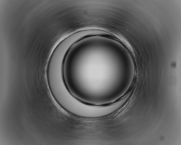 X0000098110813200804041342