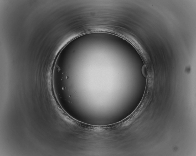 X0000098110814200804041342