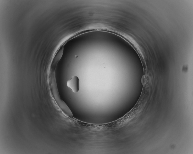 X0000098110815200804041342