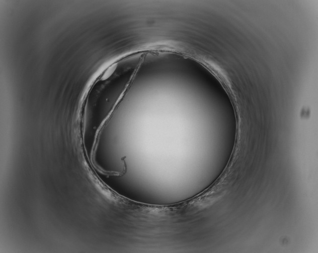 X0000098110816200804041342