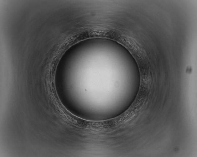 X0000098110817200804041341