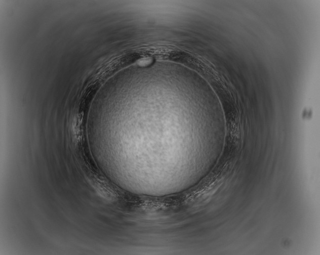 X0000098110818200804041341