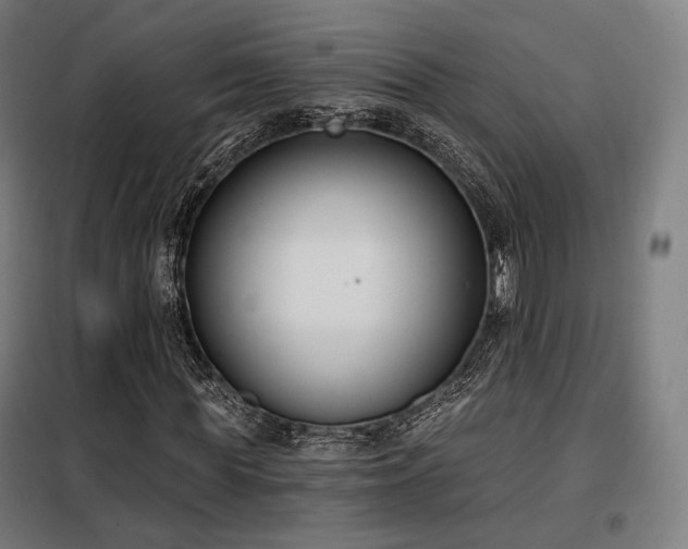 X0000098110819200804041341
