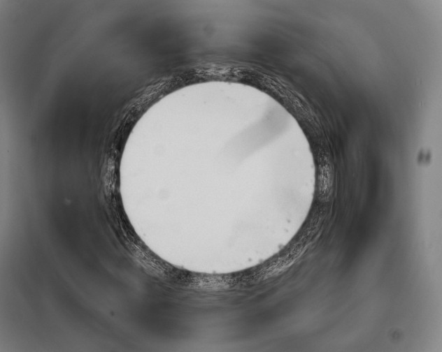X0000098110820200804041341