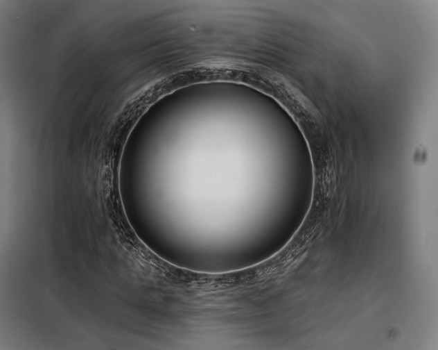 X0000098110821200804041341