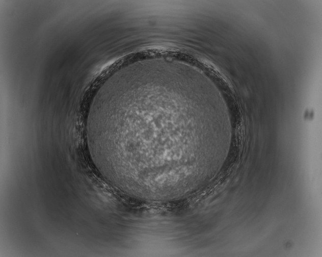 X0000098110822200804041341