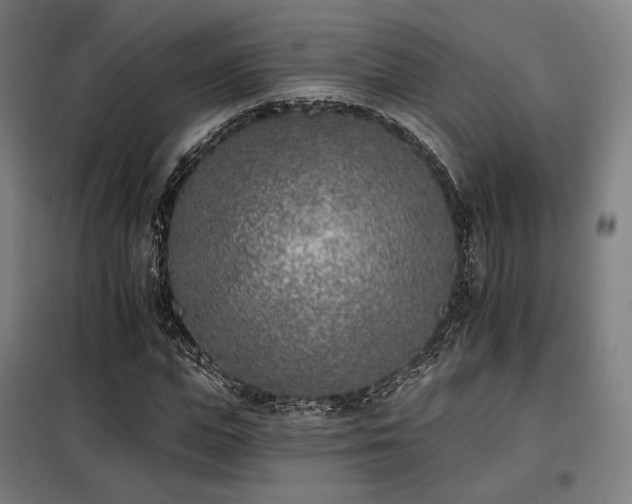 X0000098110823200804041341