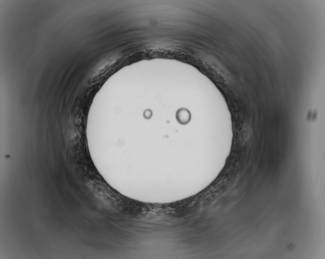X0000098110824200804041341