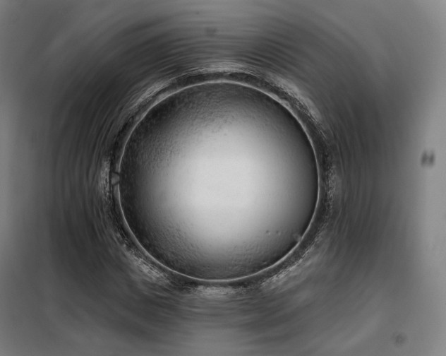 X0000098110825200804041341