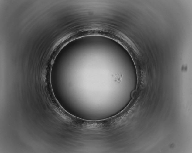 X0000098110826200804041341