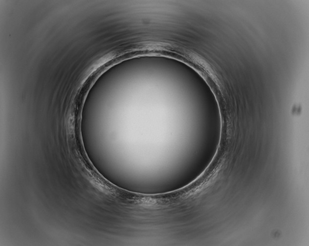 X0000098110827200804041341