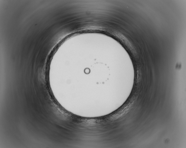 X0000098110828200804041342