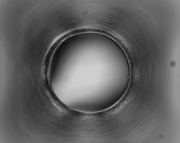 X0000098110830200804041342