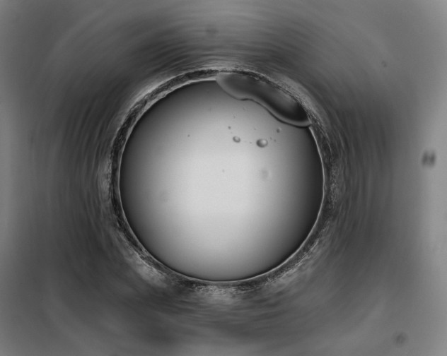 X0000098110831200804041342