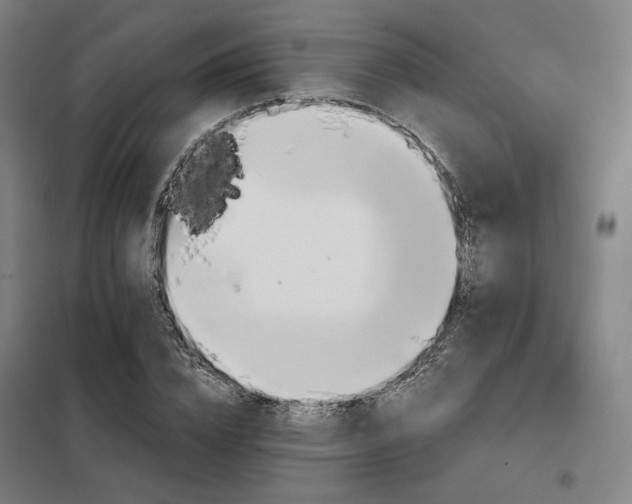 X0000098110832200804041342