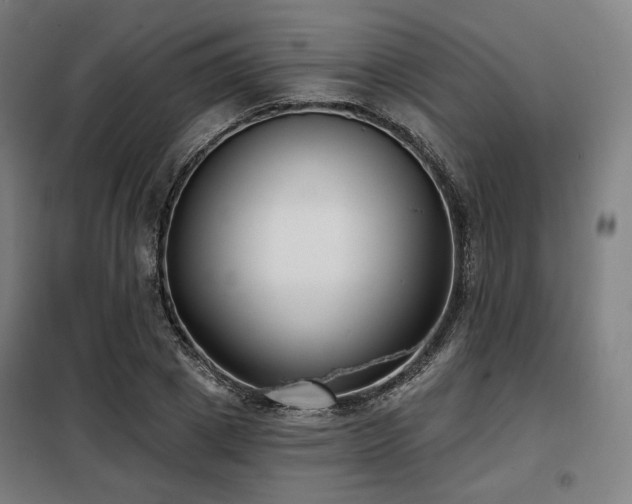 X0000098110833200804041342