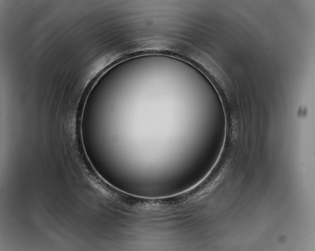 X0000098110834200804041342