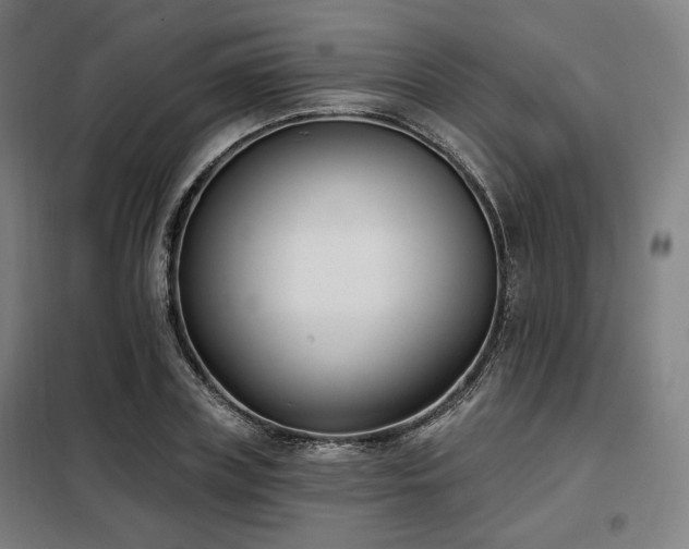 X0000098110835200804041342