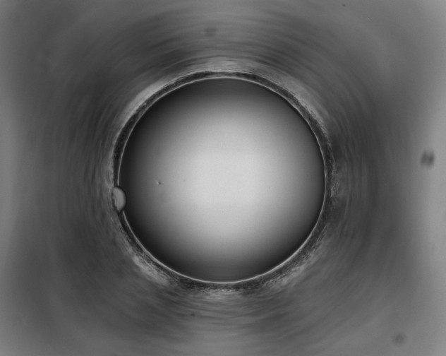 X0000098110837200804041342