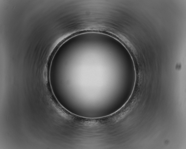 X0000098110838200804041342