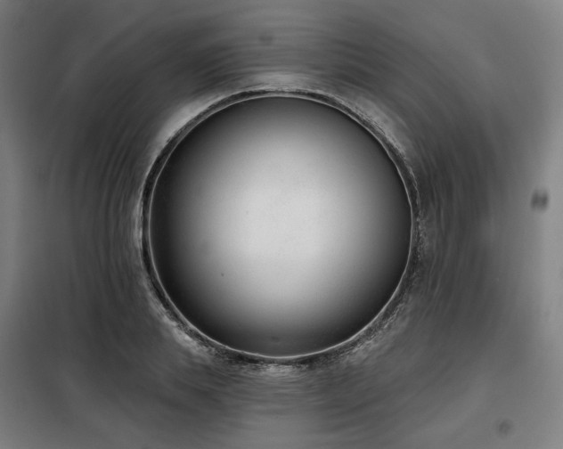 X0000098110839200804041342