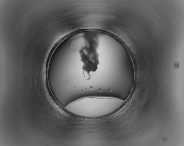 X0000098110840200804041342