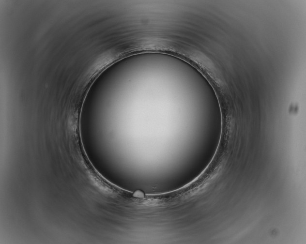 X0000098110841200804041342