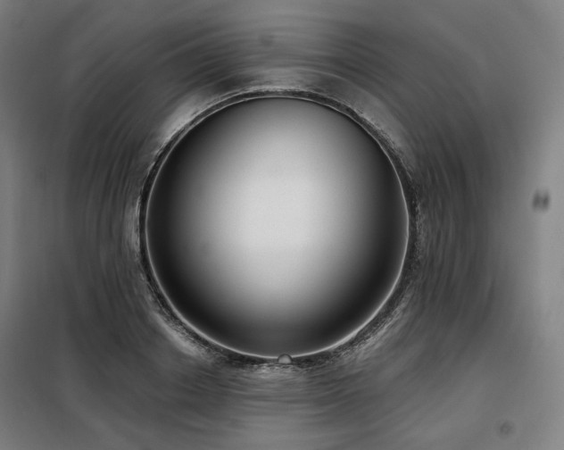 X0000098110842200804041342