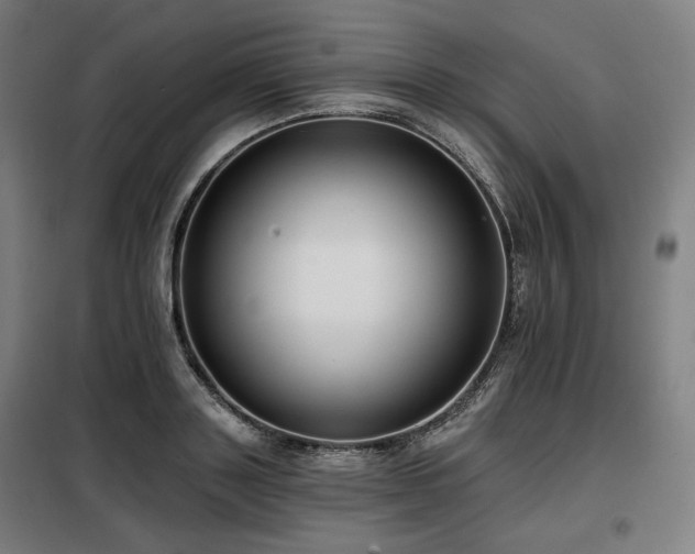 X0000098110843200804041342