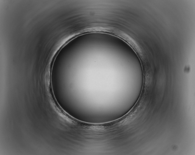 X0000098110844200804041342