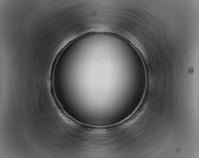 X0000098110845200804041342