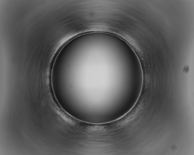 X0000098110846200804041342