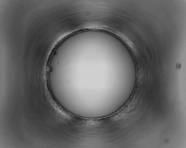 X0000098110848200804041342