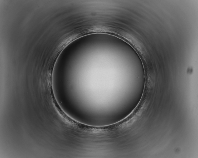 X0000098110849200804041342