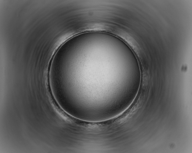 X0000098110850200804041342