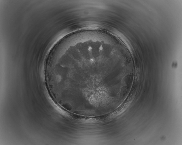 X0000098110851200804041342