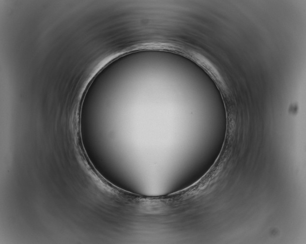 X0000098110852200804041342
