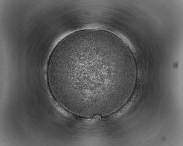 X0000098110854200804041342