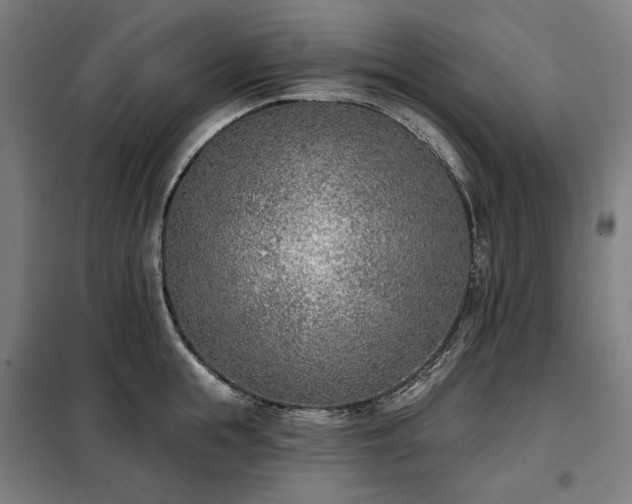 X0000098110855200804041342