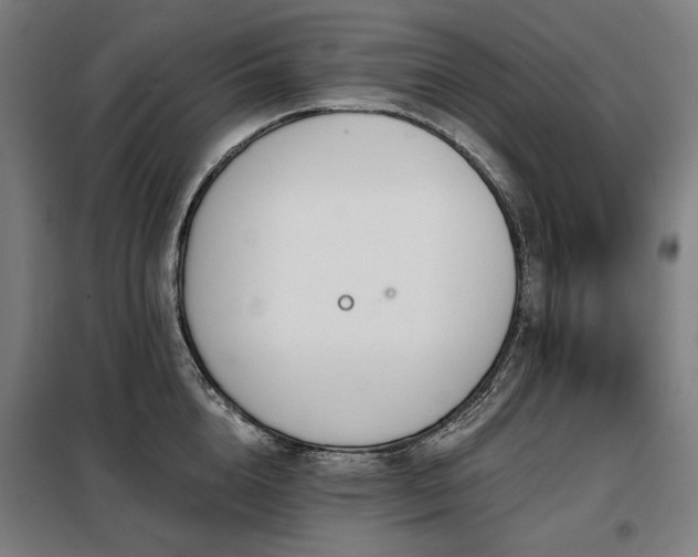 X0000098110856200804041342