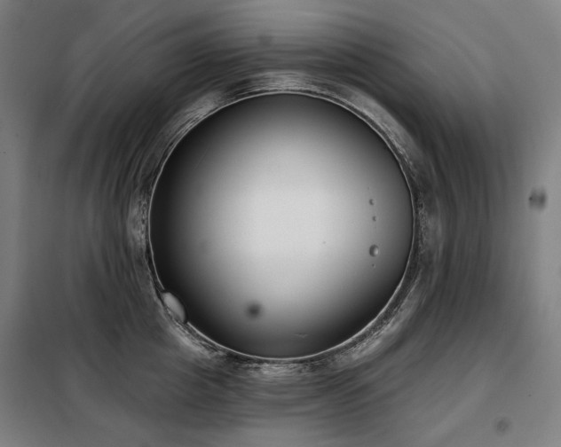 X0000098110857200804041342