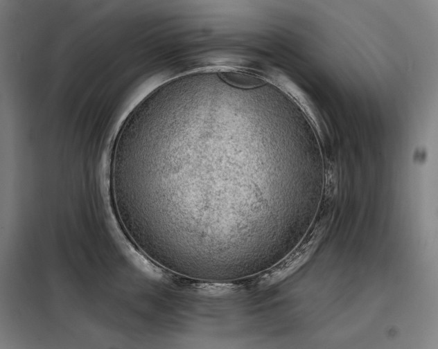 X0000098110859200804041342