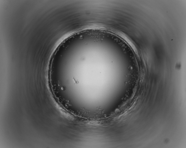 X0000098110861200804041342