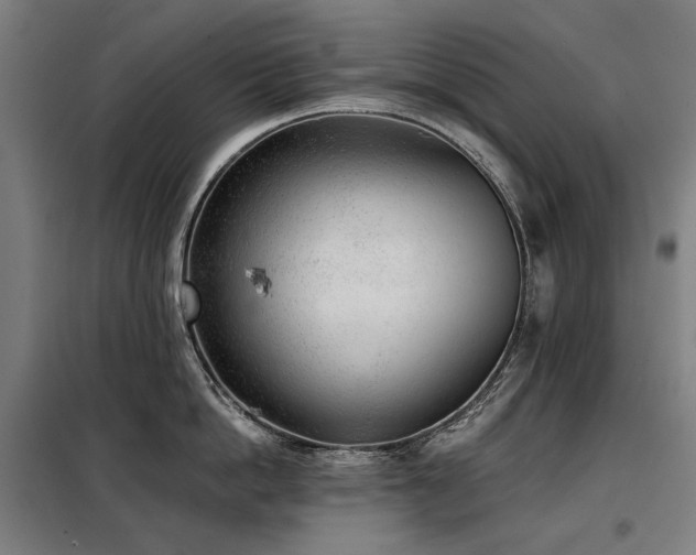 X0000098110862200804041342