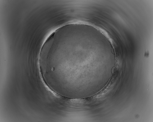 X0000098110863200804041342
